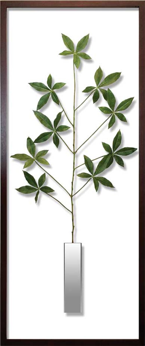 Amazon.co.jp: JIG リーフアート F-style Frame(エフ-スタイル